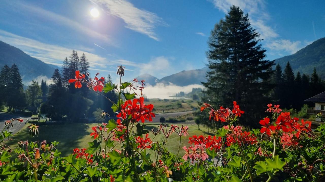Kraners Alpenhof BIO Bed&Breakfast Pension Weissensee Exterior foto