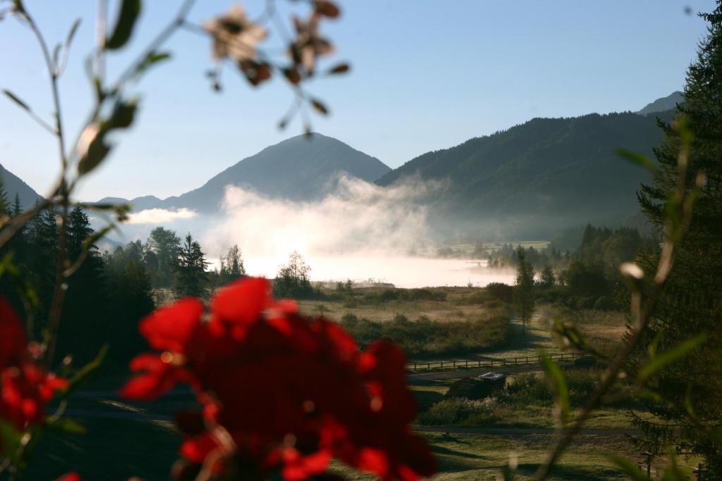 Kraners Alpenhof BIO Bed&Breakfast Pension Weissensee Exterior foto
